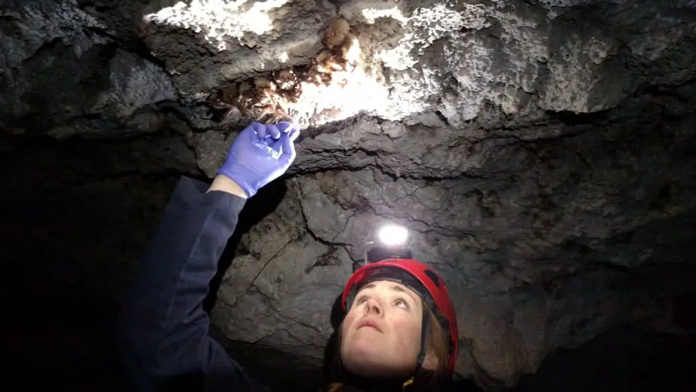 Photo of a woman performing a cave survey